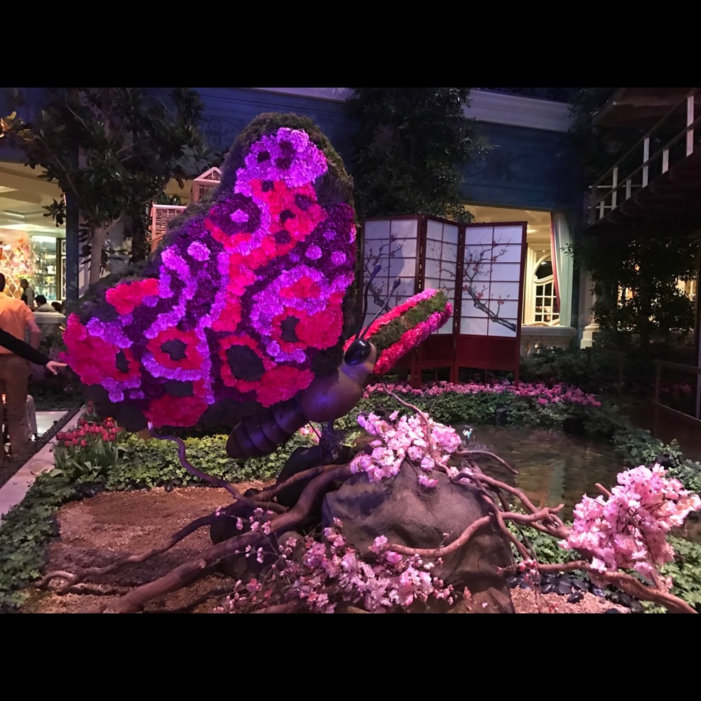 Meet your Posher, Lusine